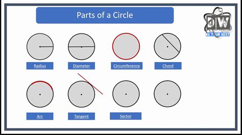 Circles Parts Of A Circle Youtube
