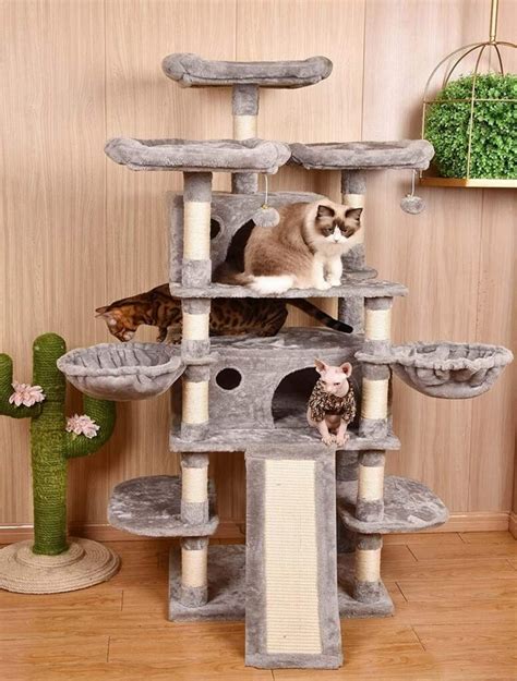 Best Cat Condos For Large Cats Your Next Cat Condo Is Definitely One