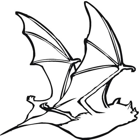 Fruit Bat Coloring Pages