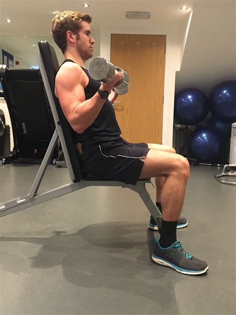 Seated Bicep Curl G Physio