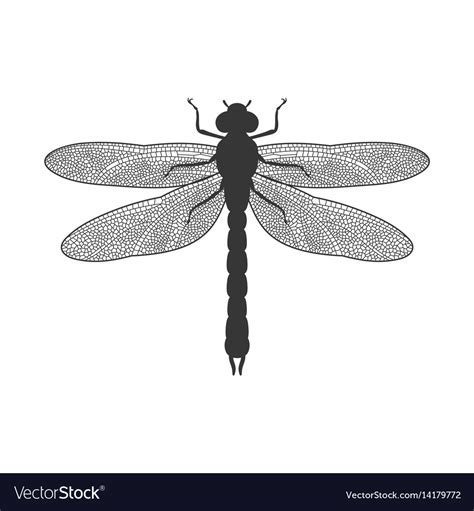 Silhouette Of Dragonfly Royalty Free Vector Image