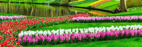 Musement Helps You Find The Best Tours And Tickets For Keukenhof In