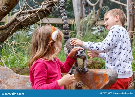 Kids In London Zoo Editorial Stock Photo Image Of London 73895153