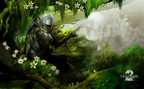 Great GuildWars2 Wallpaper Of A Sylvari Pretty Sure She Was The Very