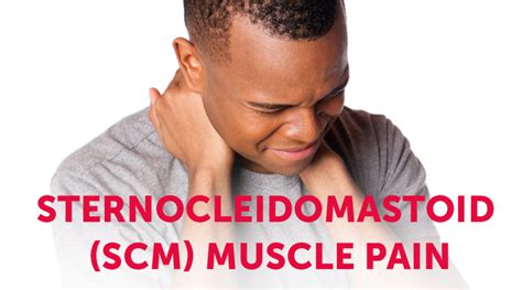 Sternocleidomastoid Scm Muscle Pain Pt And Me