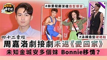 四十二章經│周嘉洛劇接劇未返《愛回家》 未知金城安多個妹 Bonnie移情？ - 晴報 - 娛樂 - 中港台 - D210913