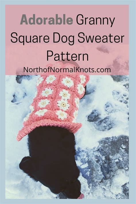 Crochet Dog Sweater Crochet Dog Clothes Crochet Pet Crochet Animals