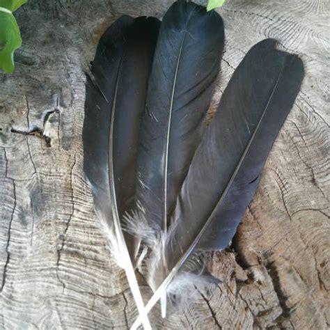 English Crow Feather, Smudge Feather, Smudge Fan Feather, Hair Feathers, Hat Feathers, Craft ...