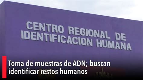 Toma De Muestras De Adn Buscan Identificar Restos Humanos Peri Dico