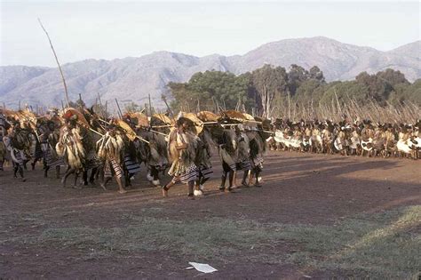 Regiments Retreat Incwala 1970 First Fruits Ceremony Swaziland