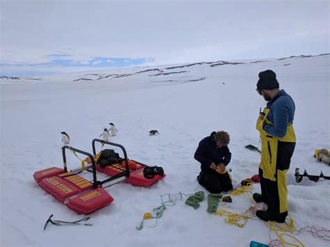 Great Expeditions Cleaning Up Antarctica Csiroscope