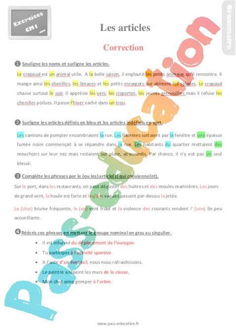 Evaluation progressive au cm1 : Exercices, révisions sur les articles - Cm1 avec la ...