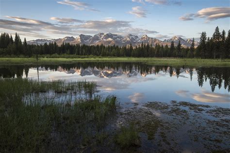 Free Images Landscape Nature Forest Marsh Wilderness Mountain