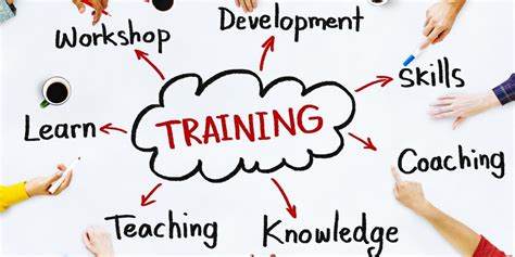 The Importance Of Training And Development In The Workplace — The