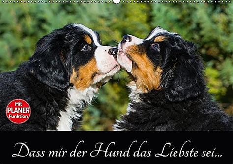 Dass mir der Hund das Liebste sei... Wandkalender 2017 DIN A2 quer