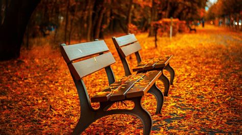 Desktop Wallpaper Fall Autumn Leaves On Path Benches Garden Hd