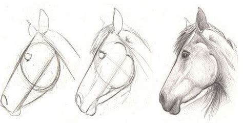 Pencil sketch video standard printable step by step. how to draw a horse head in 3 easy step - Learn To Draw ...