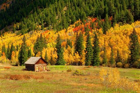 Cabin In Autumn Forest