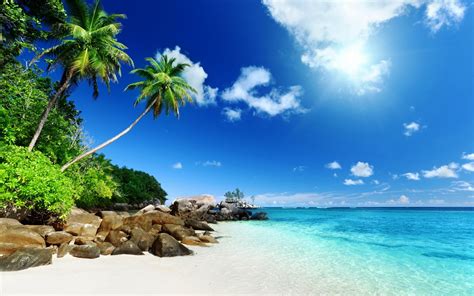 Tropical Island Wallpaper With Fish 49 Images