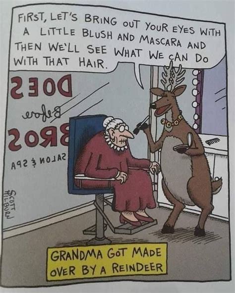 Grandma Got Made Over By A Reindeer Funny Quotes Funny Comics Mary