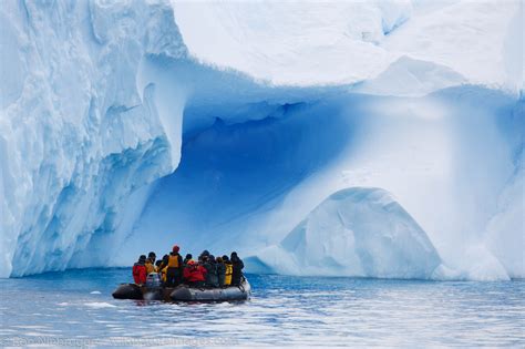 Cierva Cove Antarctica Photos By Ron Niebrugge