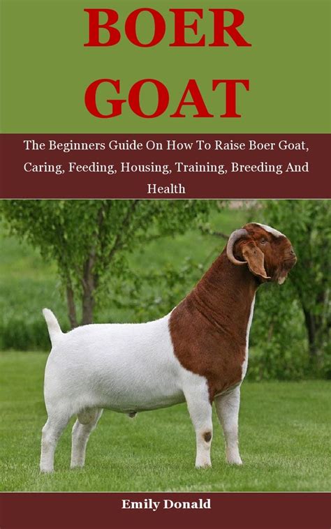 Buy Boer Goat The Beginners Guide On How To Raise Boer Goat Caring