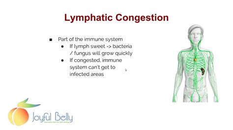Lymphatic Congestion Ayurvedas Perspective Youtube