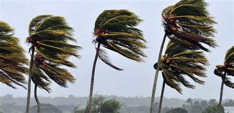 Alerta Meteorológico Por “vientos Fuertes” Para La Región Info Mas