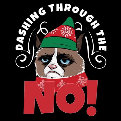 Dashing Through The No Grumpy Cat T Shirt Christmas Shirt