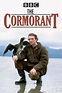 The Cormorant (1993) - Posters — The Movie Database (TMDB)