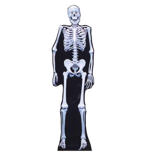 Su 193 Skeleton Lifesize Cardboard Cutout Standup Swit Sports