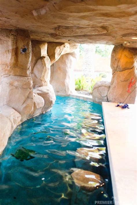 Freeform Custom Pool With Grotto Cave In Gilbert Arizona Premier