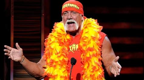 Hulk Hogan Fired From Wwe Over Racial Slurs In Sex Tape Scandal Wwe My Xxx Hot Girl