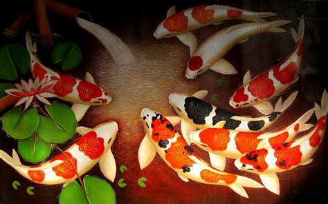 Japanese Koi Fish Pond Wallpapers Top Free Japanese Koi Fish Pond