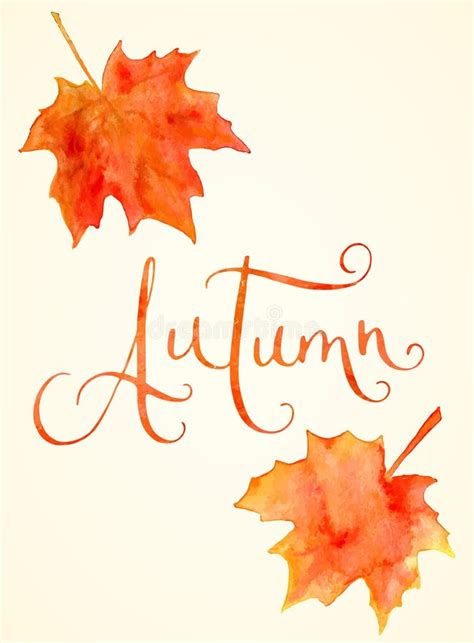 Watercolor Maple Leaves And Autumn Word Stock Vector Illustration Of
