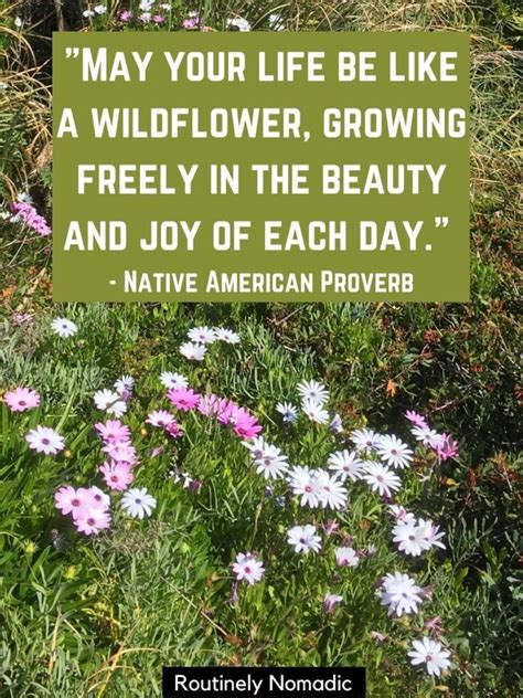 Perfect Wildflower Quotes For Routinely Nomadic