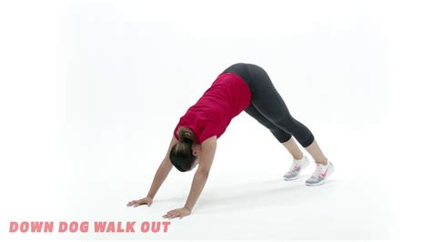 What Is The Downward Dog Exercise