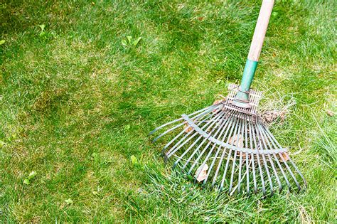 Keep Your Yard In Tip Top Shape For Spring Living Outdoors