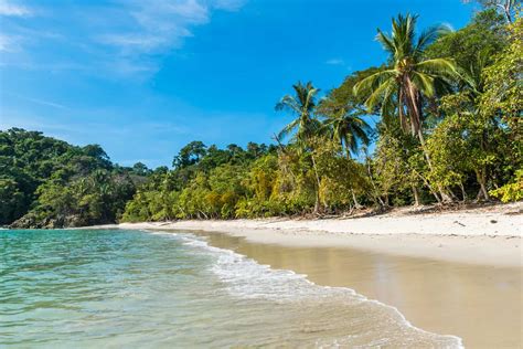 Manuel Antonio Travel Guide Beaches Rainforest Hotels More Costa