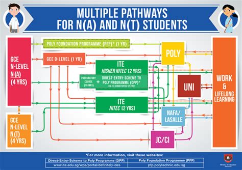 Multiple Pathways For N Level Students