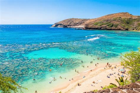 Snorkeling Tropical Paradise Hanauma Bay In Oahu Hawaii Editorial