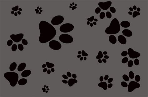 Dog Paws Wallpaper 41 Images