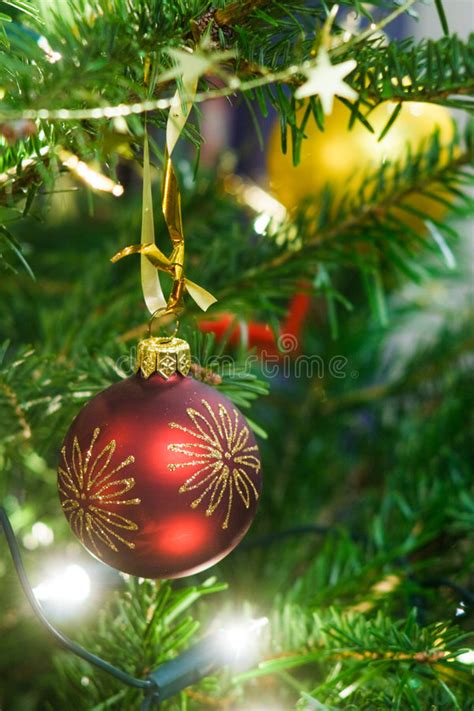 Red Christmas Decoration On Snow Covered Pine Tree Outdoors Stock Image
