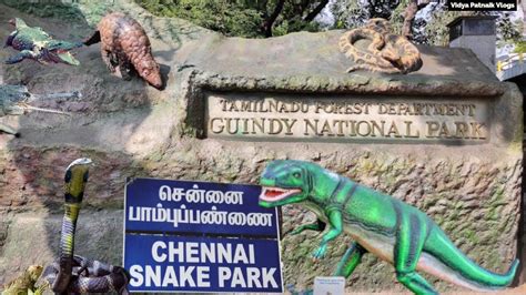 Guindy National Park Chennai In Telugu Childrens Park Chennai