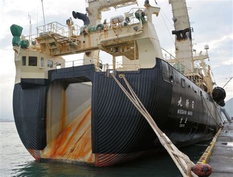 Editorial Japans Whalers Should Reduce Dependence On State Subsidies