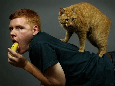 29 Most Awkward Photos Of Men And Their Cats Funny Awkward Photos