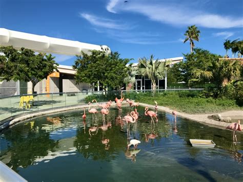 Zoo Miami Miami Cityseeker