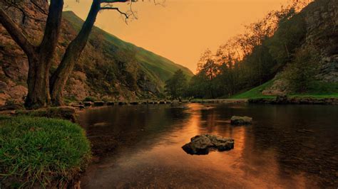 Green Tree Covered Rock Near Body Of Water During Evening Time Hd