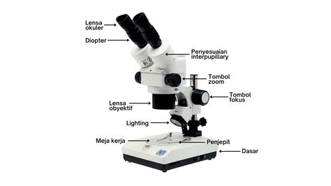 Detail Gambar Bagian Bagian Mikroskop Koleksi Nomer