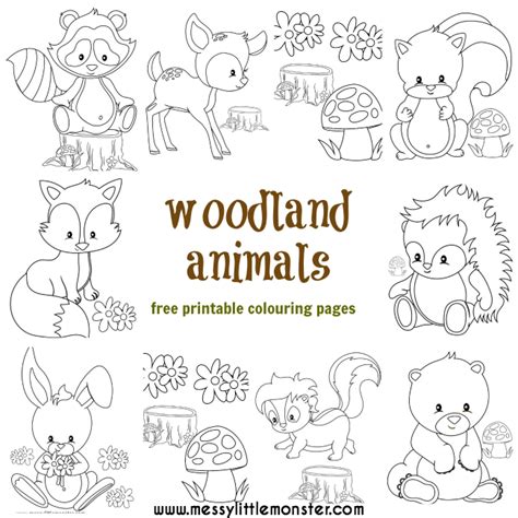 Toddlers Animal Coloring Pages Woodland Animals Colouring Pages